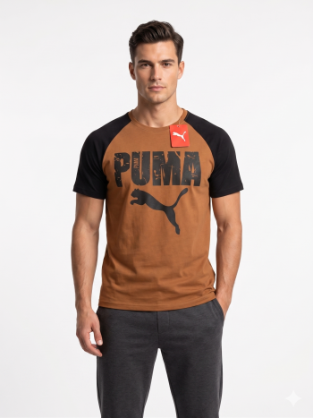 Men's Puma Distressed Graphic Raglan T-Shirt – Brown/Black